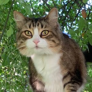 Meet your Posher, Tara